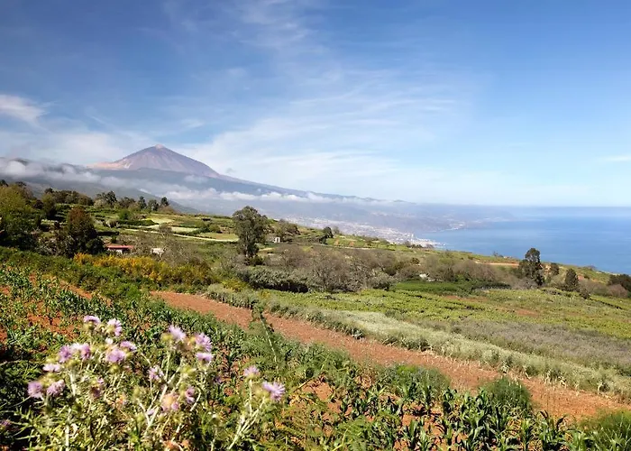 Diablitos 1a Apartman